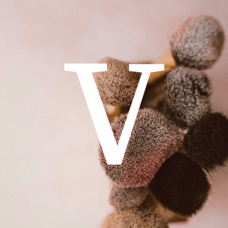Conoce nuestro proyecto Vitality
