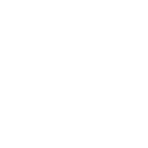 Vitality Logo